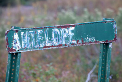 Flint Hills   14.jpg