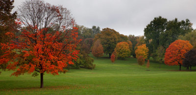 Loose Park 006.jpg