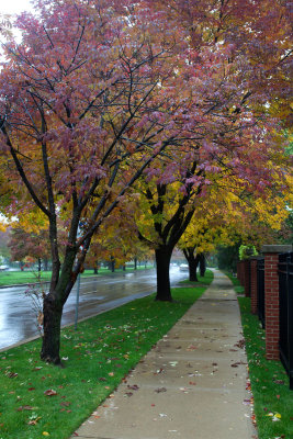 Loose Park 007.jpg