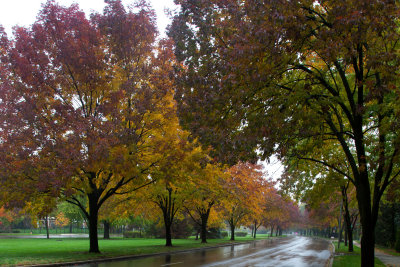 Loose Park 008.jpg