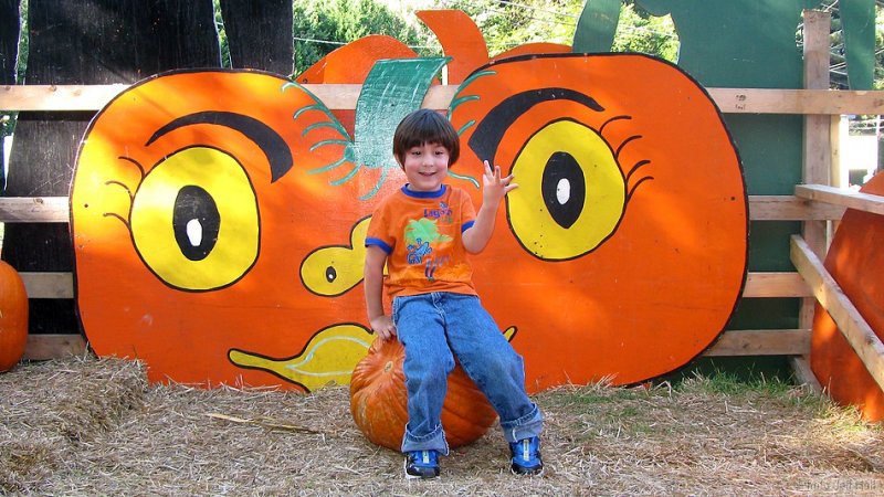 img_0804_std.jpg
