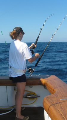 img_1653_std.jpg