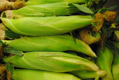 corn