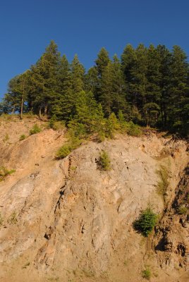 DSC_0538.jpg