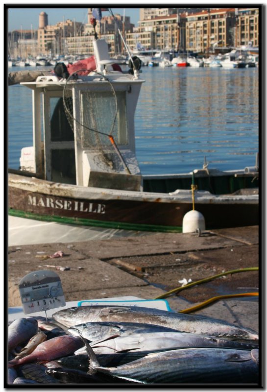 Vieux Port