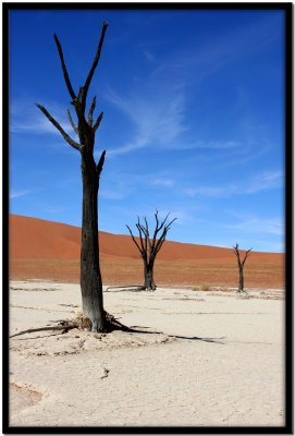 Deadvlei