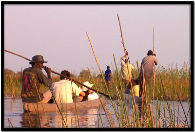 Delta del Okavango