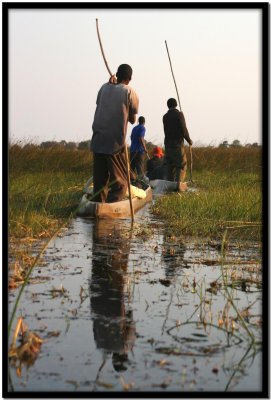 Delta del Okavango