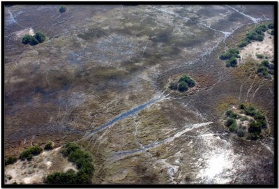 Vuelo Okavango - Chobe N.P.