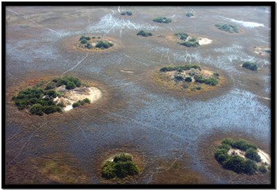 Vuelo Okavango - Chobe N.P.