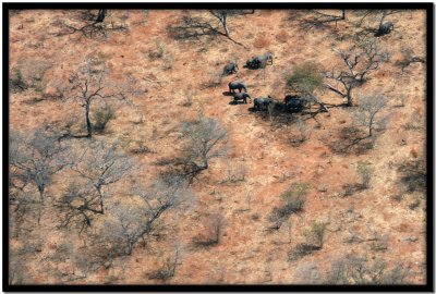 Vuelo Okavango - Chobe N.P.