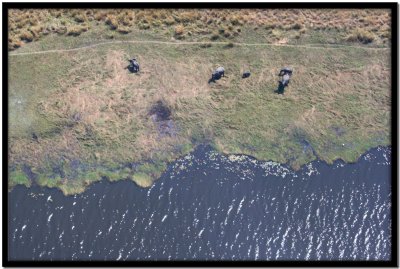 Vuelo Okavango - Chobe N.P.
