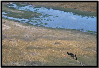 Vuelo Okavango - Chobe N.P.