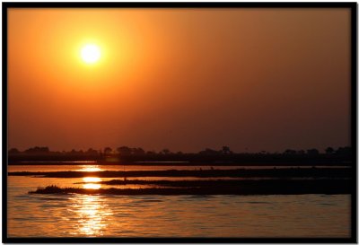 Chobe N.P.