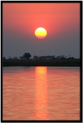 Chobe N.P.