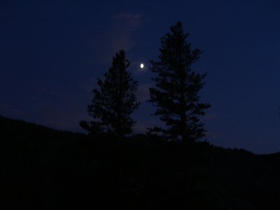 g1/93/31293/3/115851286.2N0IqDiA.jpg