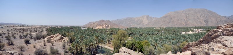 Panorama from a rocky outcropping across the wadi from Nakhl Fort