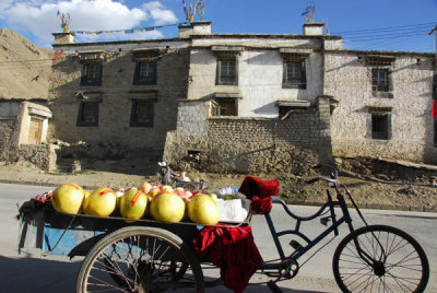 Cargo bicycle rickshaw of a fruit salesman, Tsetang
