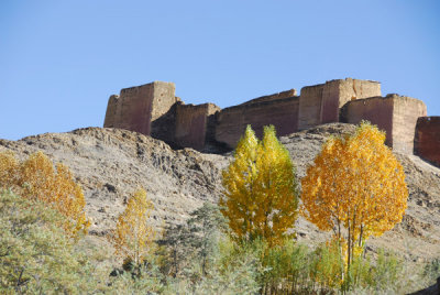 Pelkor Chöde Monastery north wall with autumn foliage