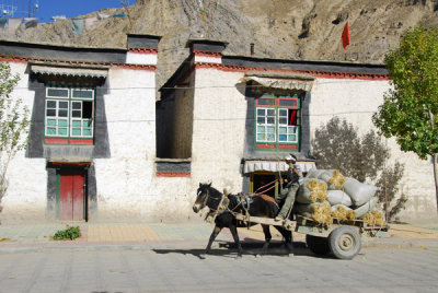 Horse-drawn cart, Pelkor Road, old town Gyantse