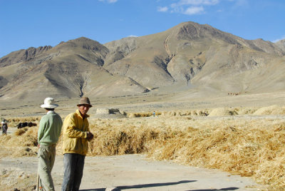 Tibetan farmers in the fields to the north of Pelkor Chöde Monastery