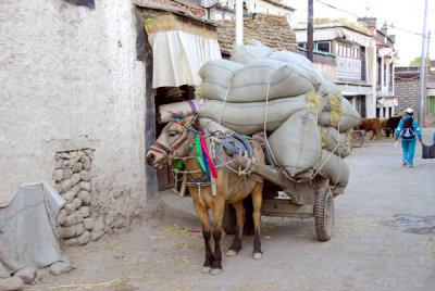 A fully loaded horse in old town Gyantse