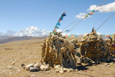 Tong-la Pass (N28.510/E86.156) with Mt. Shishapangma (8013m