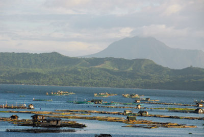 Aquaculture - fish farming, Lake Taal