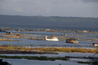 Fish farms in the northwest end of Lake Taal