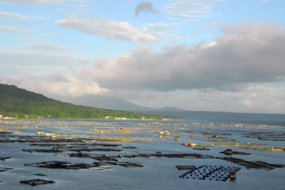 Aquaculture (fish farms) - northwest shore of Lake Taal