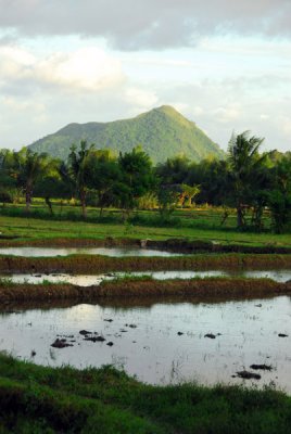 Paddies and the crater of Binitiang Malaki