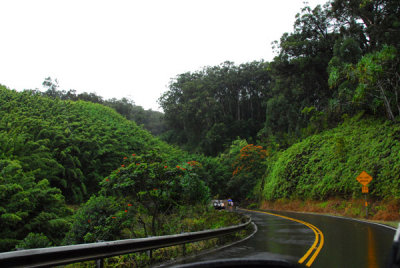 The Hana Highway is not, for the most part, a coastal road