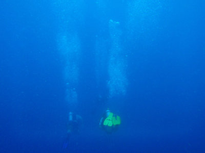 g1/93/329493/3/106992729.x4AoJUSz.jpg