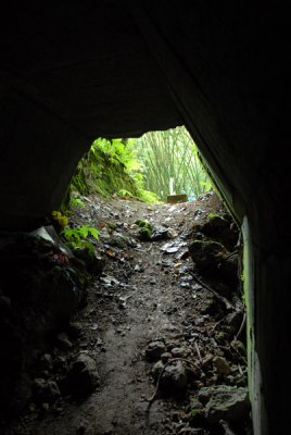 Looking out the cave entrance