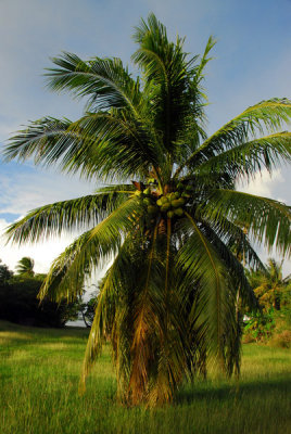 Agat Beach, Gaan Point