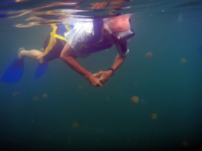 Dad snorkeling at Jellyfish Lake, Palau