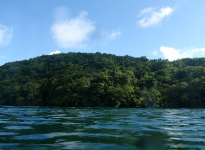 Jellyfish Lake on the island of Eil Malk in the Rock Islands of Palau