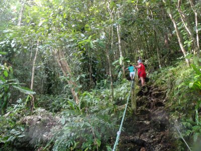 The steep and slippery trail to Jellyfish Lake