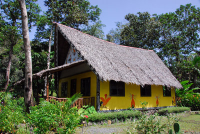 Jungle River Boat Cruises has been set up recently to help diversify Palau tourism beyond diving