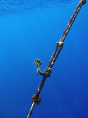 Mooring line at the Blue Hole
