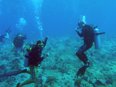 Gathering on top of the reef at the Blue Hole
