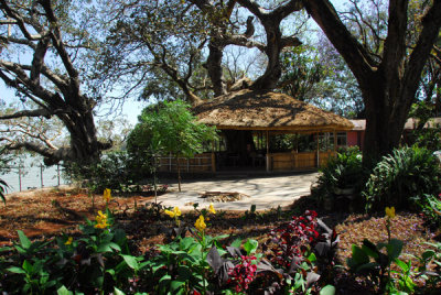 Lakeside garden of the Ghion Hotel, Bahir Dar