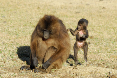 Excuse me, mom....