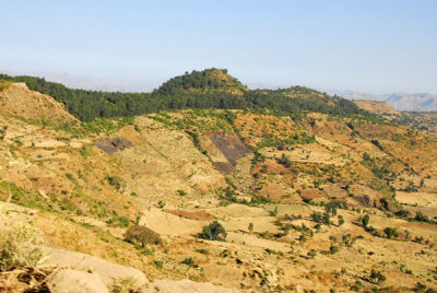 g1/93/329493/3/109173434.t0X8Rw67.jpg
