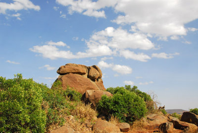 Granite quarry, Gobo Dura, Axum