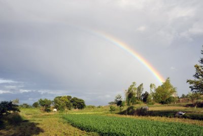 g1/93/329493/3/111905983.RddrnjID.jpg