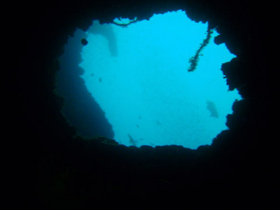 g1/93/329493/3/112114345.7mWMDnWL.jpg