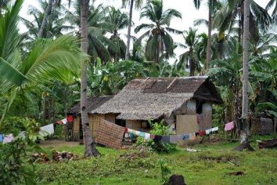 Thatched hut out near El Nido Airport, Palawan