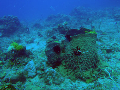 g1/93/329493/3/112372638.HQua7Zjb.jpg
