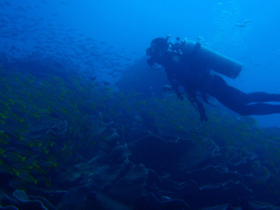 g1/93/329493/3/112372656.5ADMW0fx.jpg